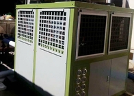 Medium / High Temperature Air Cooled Condensing Unit 13 HP For Pork Freezer