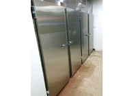 900 * 2000mm Cold Room Door , Electric Sliding Door With Heater For Chiller