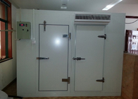 Fish / Meat Quick Freezer Cold Room Food Storage Insulation Panels With Sliding Door