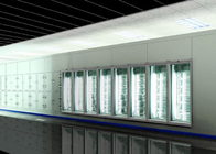 Low Temperature Polyurethane Cold Storage Room Freezer With White Core