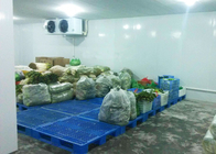 Onion / Tomato Cold Storage Room Customized Size With Condensing Unit