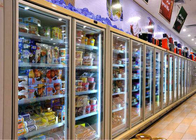 OEM Cold Storage Room Back Up Glass Door Display With Commercial Refrigerators
