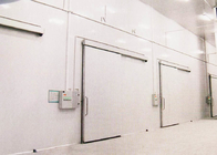 100mm Thickness Panel Cold Storage For Vegetables , Fruit Modular Freezer Room