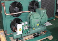 Cold Storage Refrigeration Air Cooled Condensing Unit With 5HP Bitzer Compressor