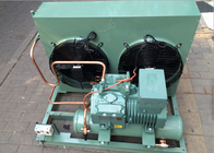 Cold Storage Refrigeration Air Cooled Condensing Unit With 5HP Bitzer Compressor