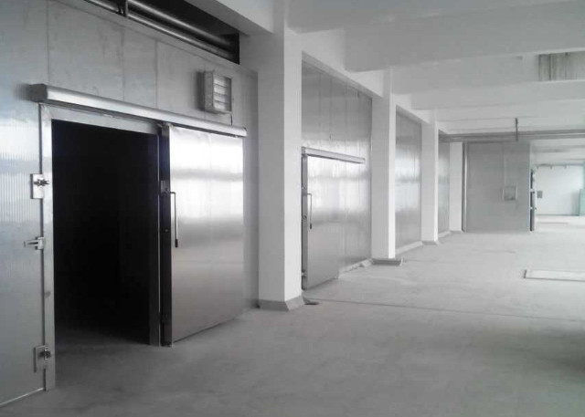 Auto Type Cold Storage Sliding Doors 100mm Thickness For Cold Room / Single Leaf