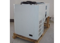 Cold Storage 3 HP Monoblock Refrigeration Unit For Deep Freezer Wall Mounted