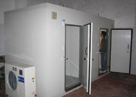 850 * 1800mm Cold Storage Doors Swing Open Style Steel Flush Door For Hotel