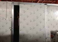 Auto Type Cold Storage Sliding Doors 100mm Thickness For Cold Room / Single Leaf