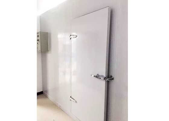 Professional Walk In Cooler Door Hinges Types For Customized Cold Room