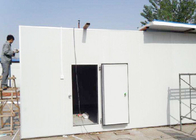 Modular Walk In Freezer Room Assemble Structure With 100mm Thickness Panel