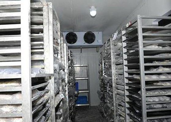 Vegetable / Fruit Cold Storage Room Sandwich Pu Panel Full Automatic For Hotel