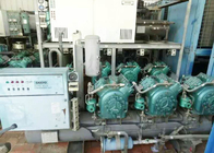 Processing Station Modular Cold Storage Room With Bitzer Compressor