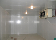 Split Unit Walk In Freezer Room With 2hp Low Temp Size 2300l * 1600w * 2400h
