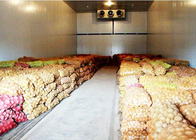 Vegetable Or Fruit Cold Storage Room With 43kg / m³ Insulation PU Panel
